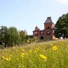Olana, the estate of Hudson River School artist Frederic Edwin Church, is located in the Catskills overlooking the Hudson River in New York. In spring coreopsis bloom in the meadows surrounding it.